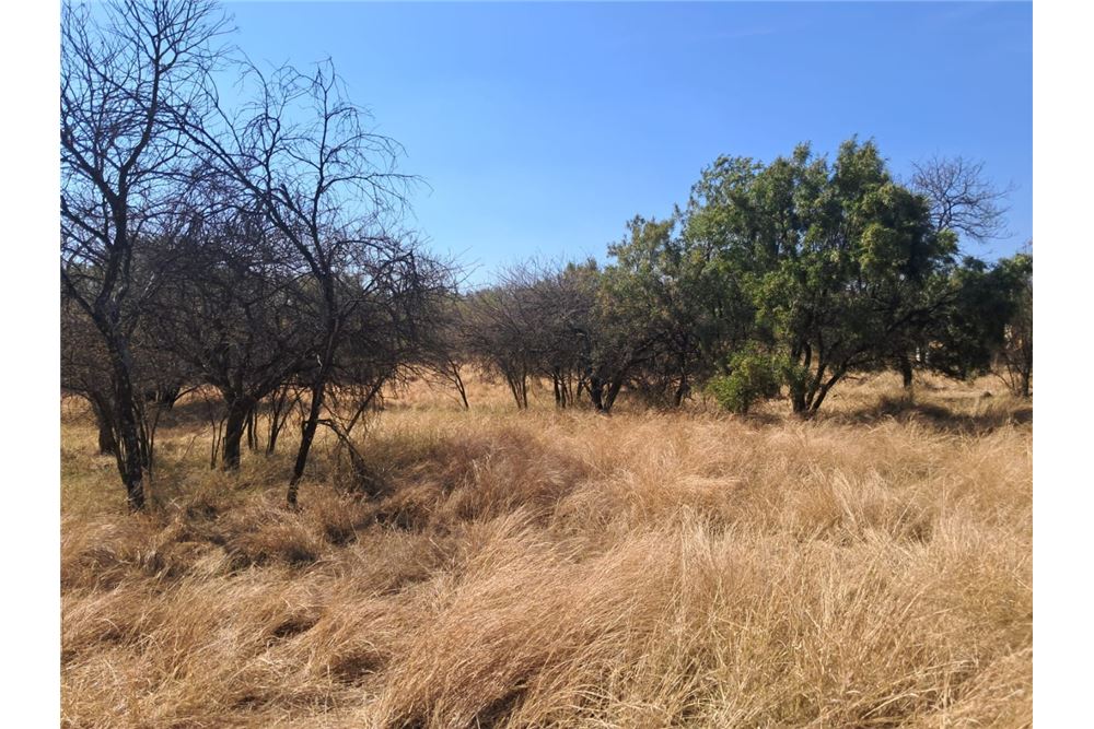 Residenziale - Lotto vacante - Leeuwfontein Estate, Gauteng - South Africa - 57 - 1031414102-104