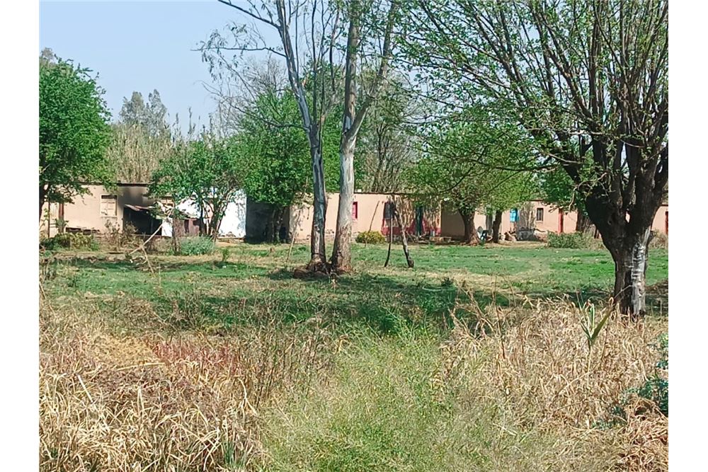 Residencial - Granja - Honingneskrans, Gauteng - South Africa - 14 - 1031414014-165