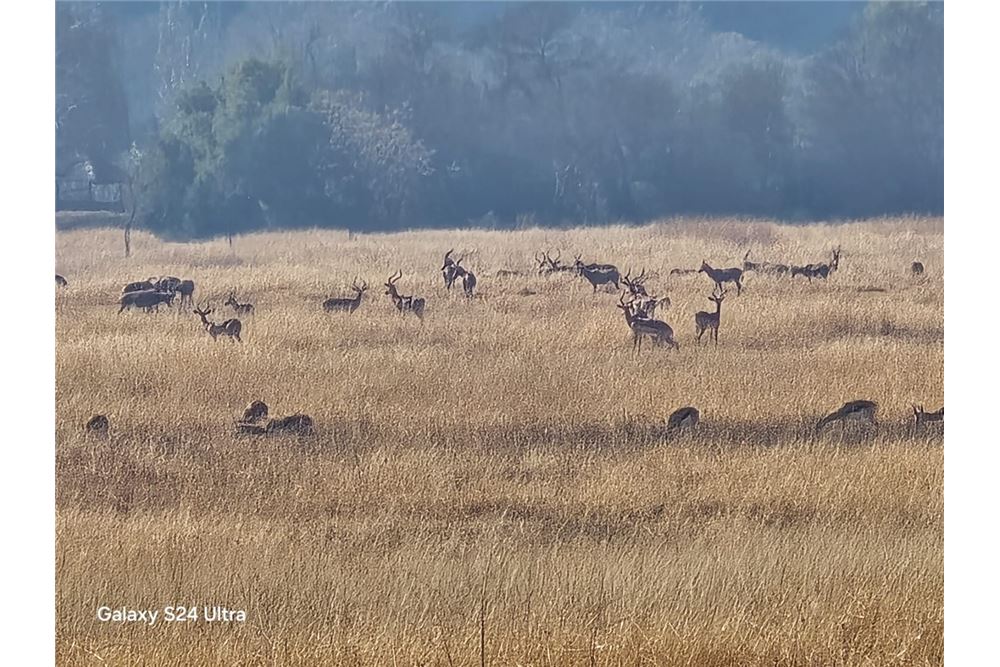 Residential - Ledig land - Xanadu Nature Estate, North West - South Africa - 7 - 1031416006-241