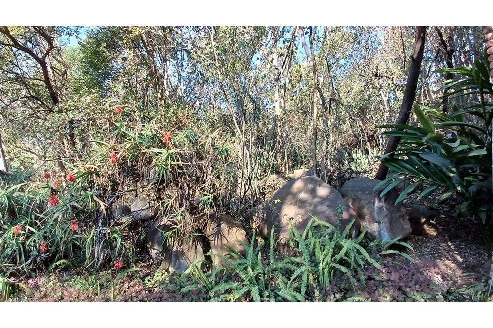 Residenziale - Fattoria - Bon Accord, Gauteng - South Africa - 56 - 1031414116-93