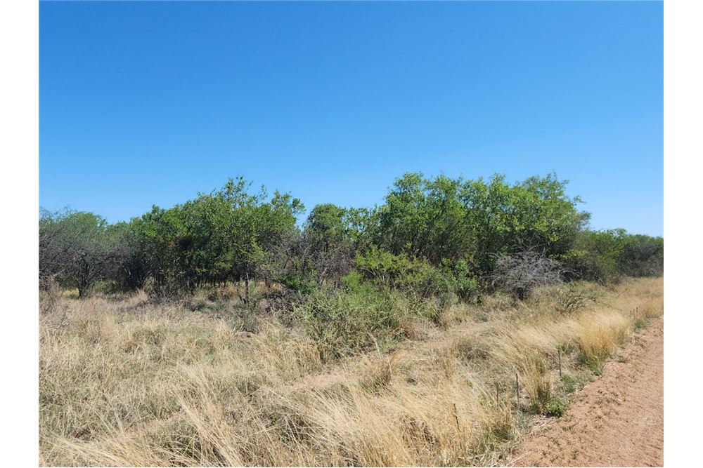 Residential - ਫ਼ਾਰਮ - Brits Rural, North West - South Africa - 6 - 1031416033-105