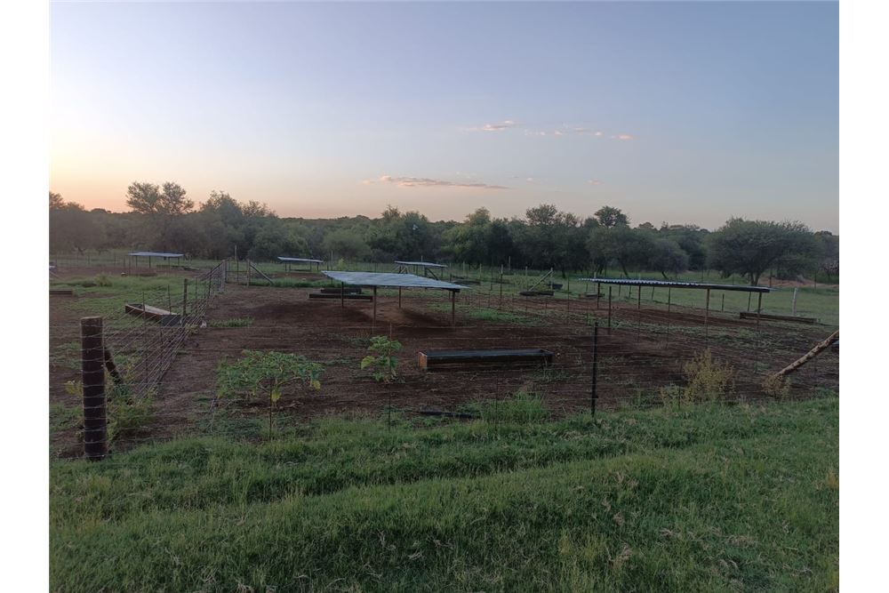 Residencial - Granja - Bultfontein, Gauteng - South Africa - 49 - 1031414014-159