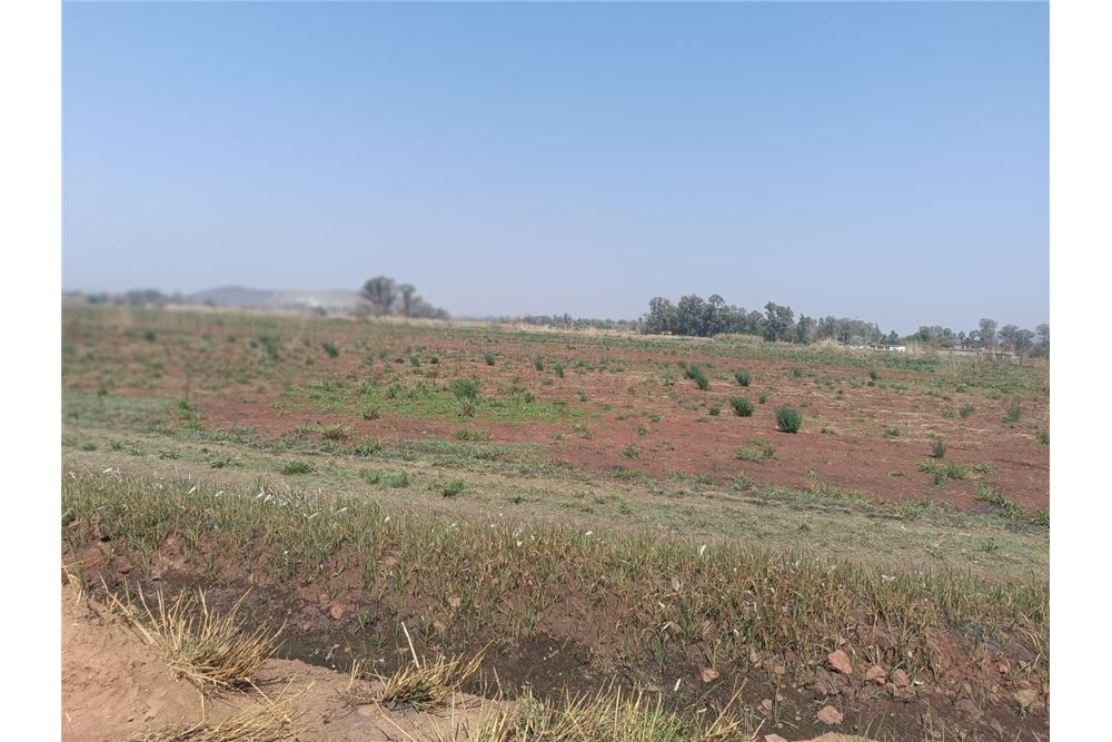 Residencial - Granja - Honingneskrans, Gauteng - South Africa - 7 - 1031414014-165