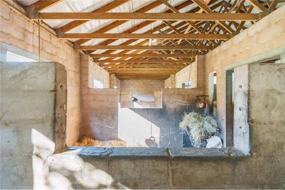 Residential - ਅਲੱਗ ਥਲੱਗ ਬਣਿਆ ਹੋਇਆ ਘਰ - Summerveld, KwaZulu Natal - South Africa - 88 - 1031391057-40