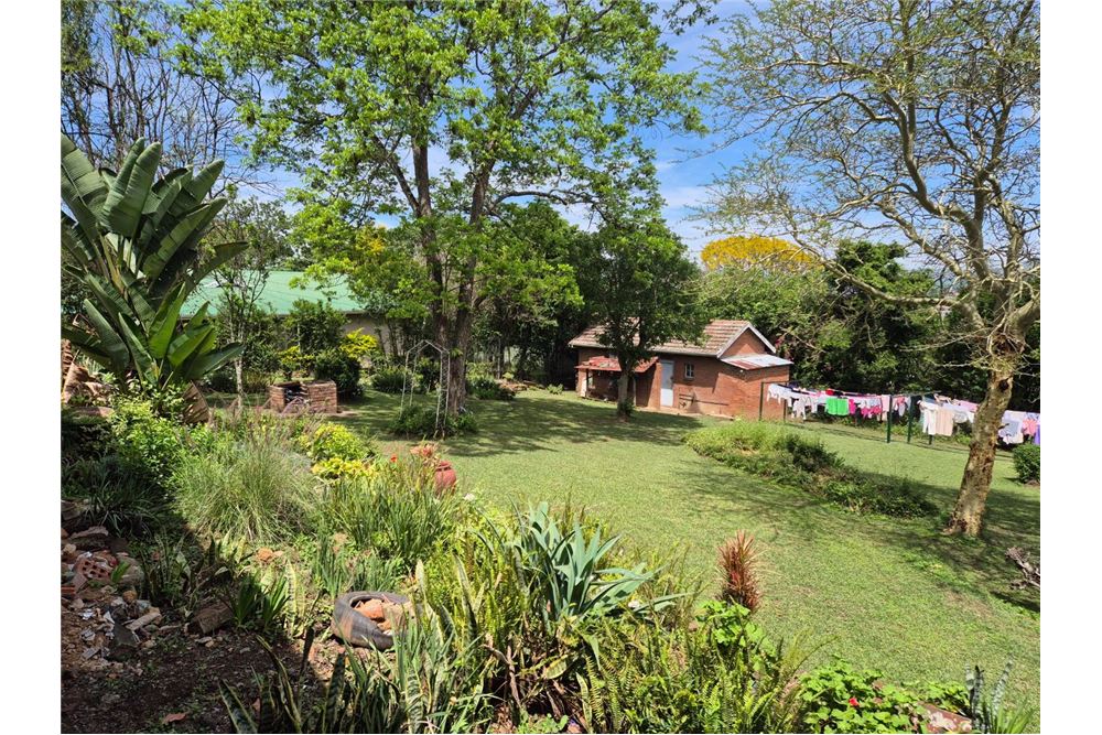 Résidentiel - Appartement - Scottsville, KwaZulu Natal - South Africa - 12 - 1031436002-191