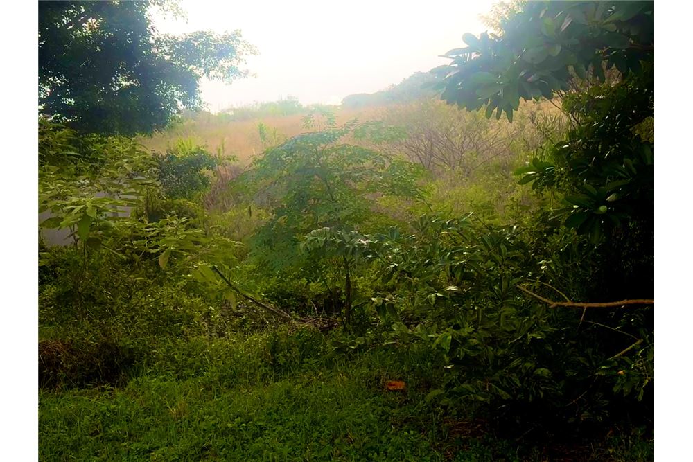 Residential - 공지 - Margate, KwaZulu Natal - South Africa - 3 - 1031394022-97