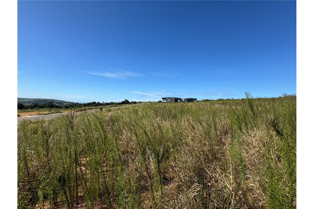 Residential - Vacant Land - Sibaya, KwaZulu Natal - South Africa - 9 - 1031465010-417
