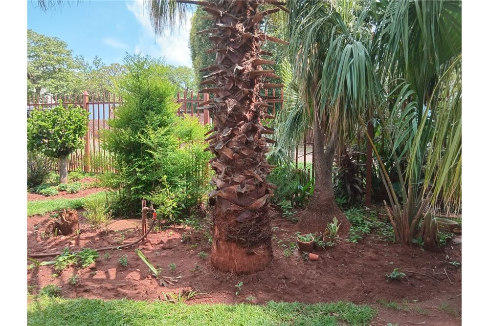 Residencial - Casa - Sinoville, Gauteng - South Africa - 21 - 1031414158-9