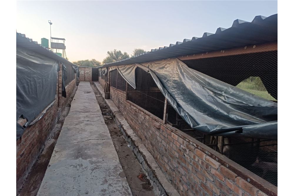 Residencial - Granja - Bultfontein, Gauteng - South Africa - 27 - 1031414014-159