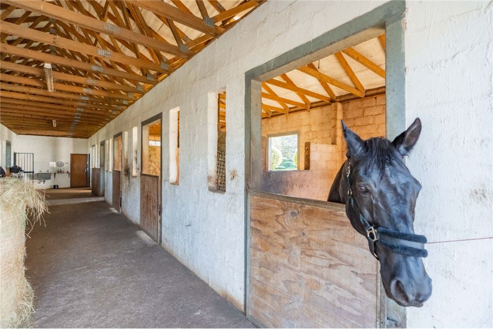 Residential - ਅਲੱਗ ਥਲੱਗ ਬਣਿਆ ਹੋਇਆ ਘਰ - Summerveld, KwaZulu Natal - South Africa - 91 - 1031391057-40