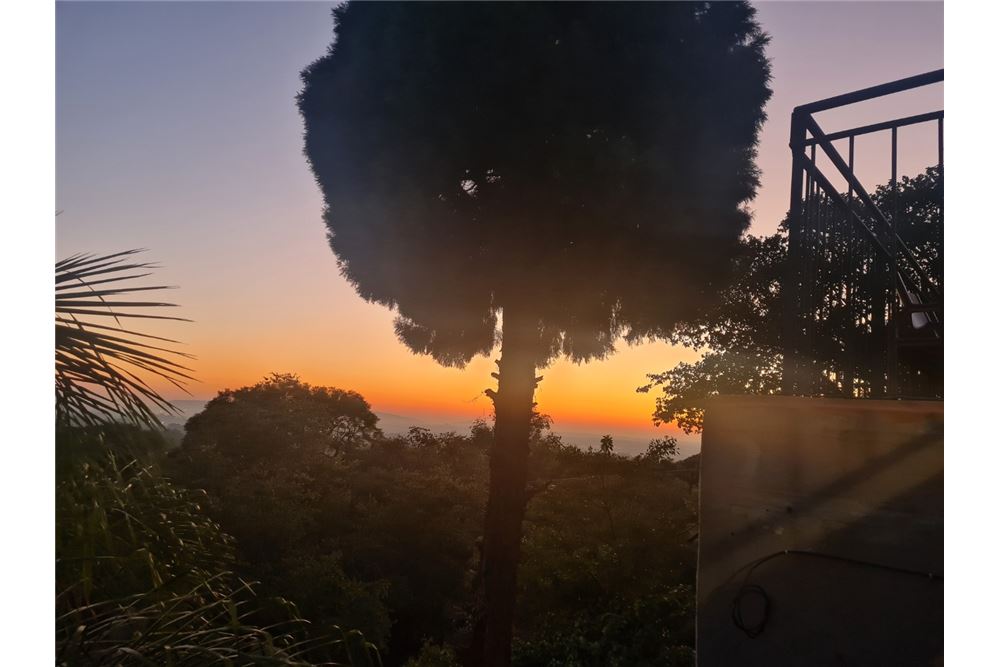 Comercial - Comercio/Tienda - Pretoria North, Gauteng - South Africa - 3 - 1031414050-124