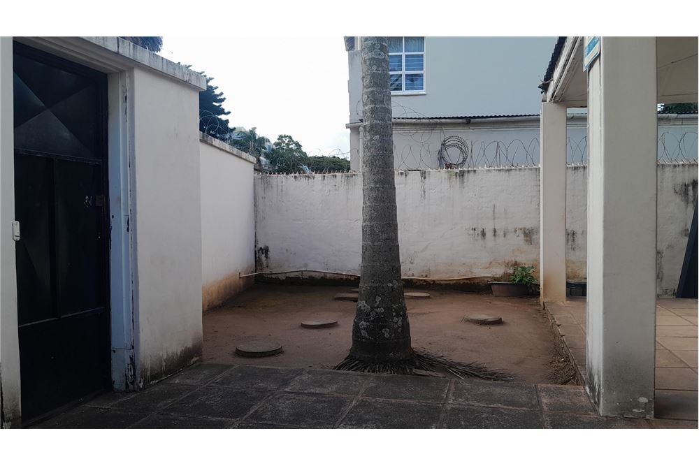 lakó - szabadonálló ház - Glenwood, KwaZulu Natal - South Africa - 4 - 1031389033-350