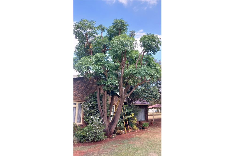 Residenziale - Fattoria - Gerardsville, Gauteng - South Africa - 7 - 1031414116-107