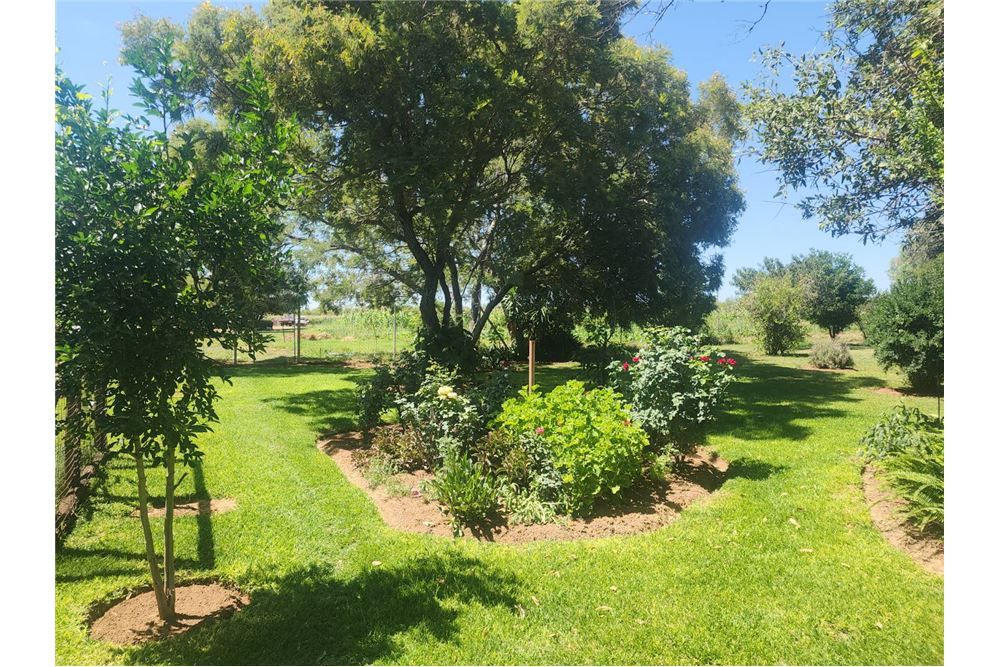 Residential - ਫ਼ਾਰਮ - Brits Rural, North West - South Africa - 10 - 1031416033-105