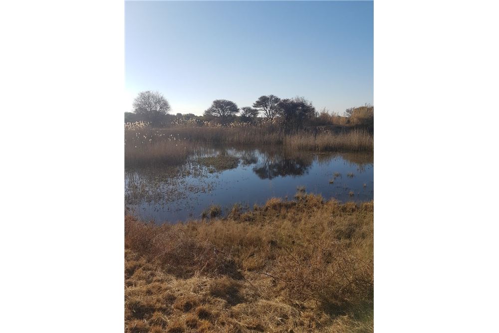 Residencial - Casa - Bultfontein, Gauteng - South Africa - 11 - 1031414014-162