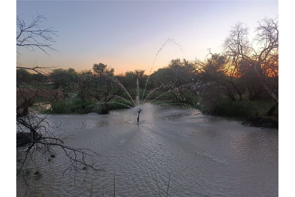 Residencial - Granja - Bultfontein, Gauteng - South Africa - 37 - 1031414014-159