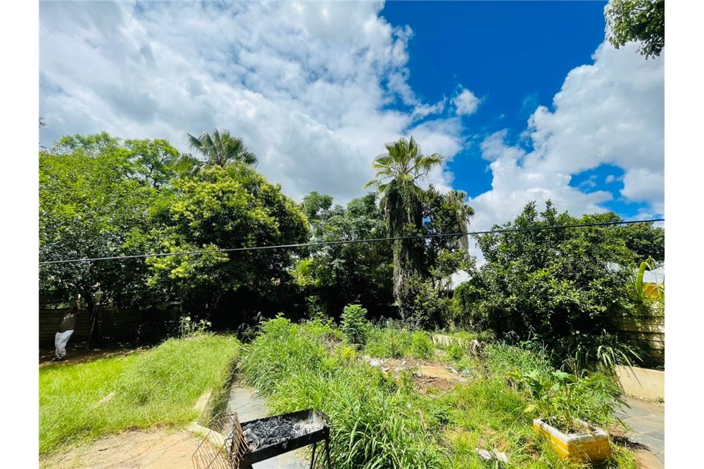 Residential - House - Sunnyside, Gauteng - South Africa - 23 - 1031414137-51