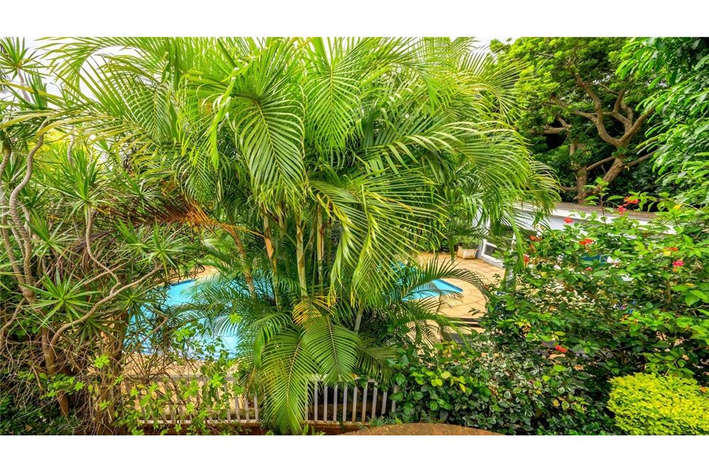 Residential - House - Durban North, KwaZulu Natal - South Africa - 51 - 1031465034-88