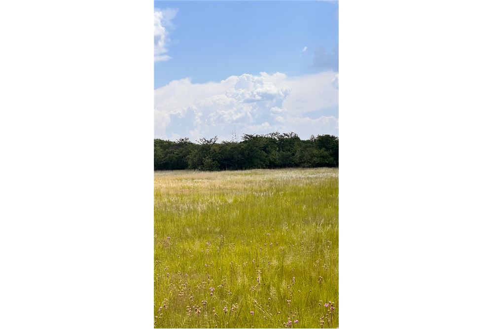 Residencial - Terreno vacante - Hartebeeshoek, Gauteng - South Africa - 3 - 1031414112-26