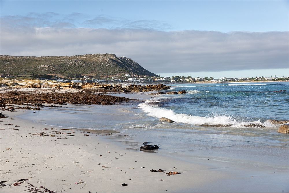 Residential - أرض خالية - Saldanha Central, Western Cape - South Africa - 9 - 1031429035-130