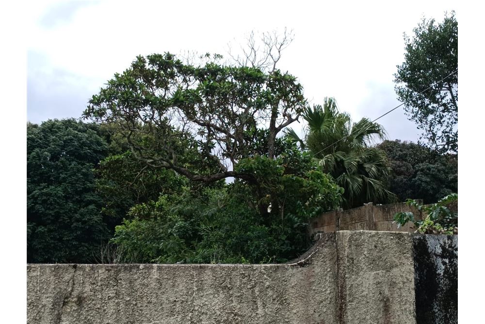 Residencial - Terreno vacante - Woodgrange, KwaZulu Natal - South Africa - 11 - 1031414112-31