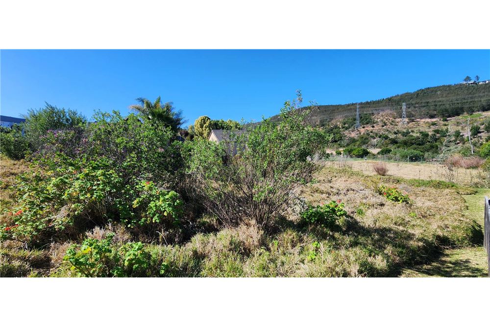 Woningbouw - Onbebouwde grond - Green Pastures, Western Cape - South Africa - 4 - 1031369053-25