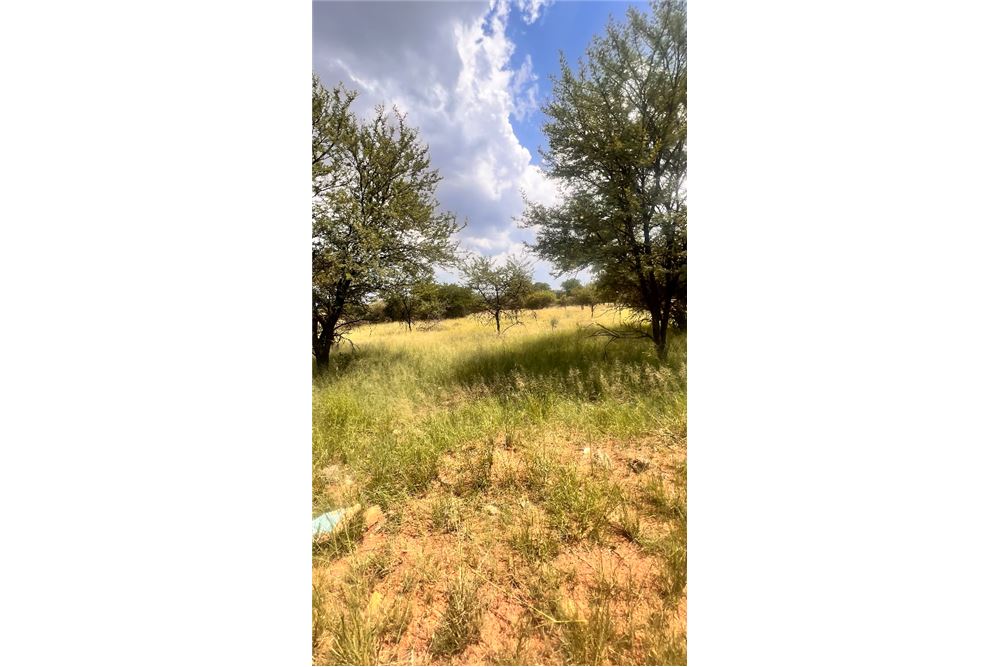 Residencial - Terreno vacante - Hartebeeshoek, Gauteng - South Africa - 10 - 1031414112-25