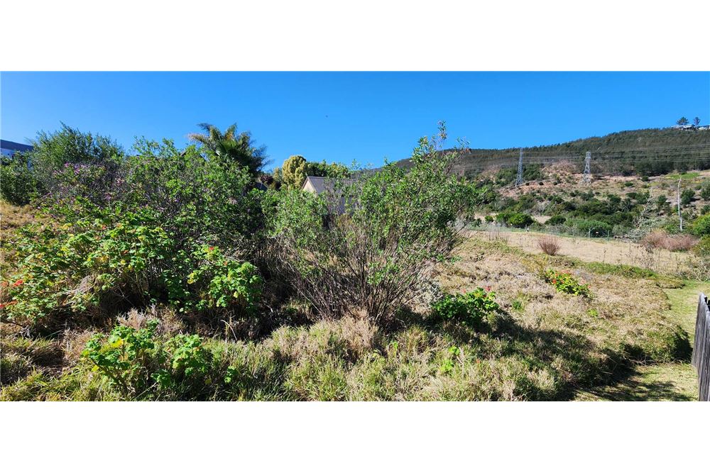 Woningbouw - Onbebouwde grond - Green Pastures, Western Cape - South Africa - 5 - 1031369053-25