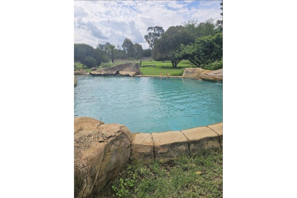 Residential - Άκτιστο οικόπεδο - Rispark, Gauteng - South Africa - 4 - 1031421159-25