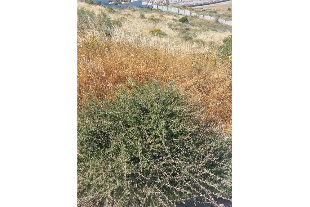 Mieszkaniowa - Teren niezabudowany - Hoogland, Western Cape - South Africa - 5 - 1031429035-166