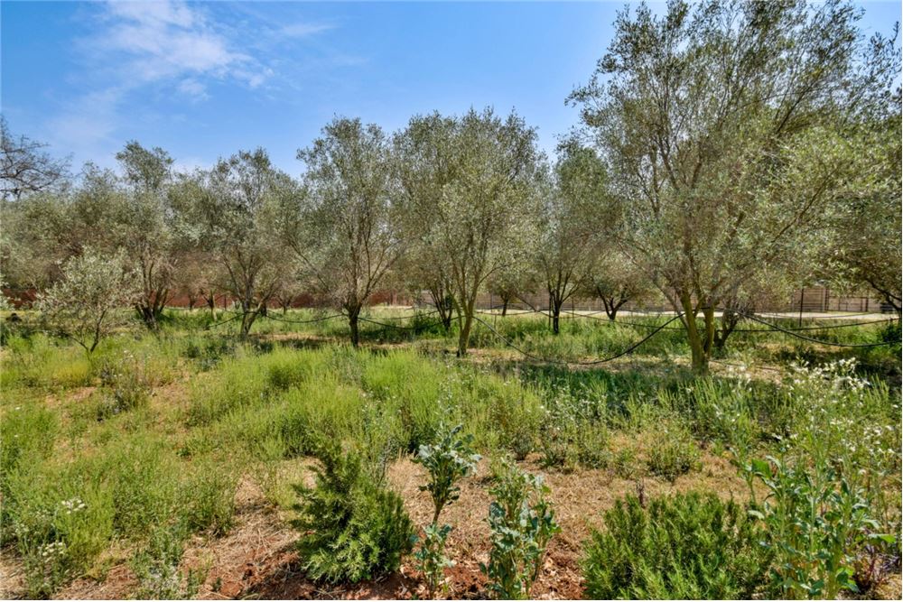 Residencial - Granja - Kameeldrift East, Gauteng - South Africa - 19 - 1031414001-140