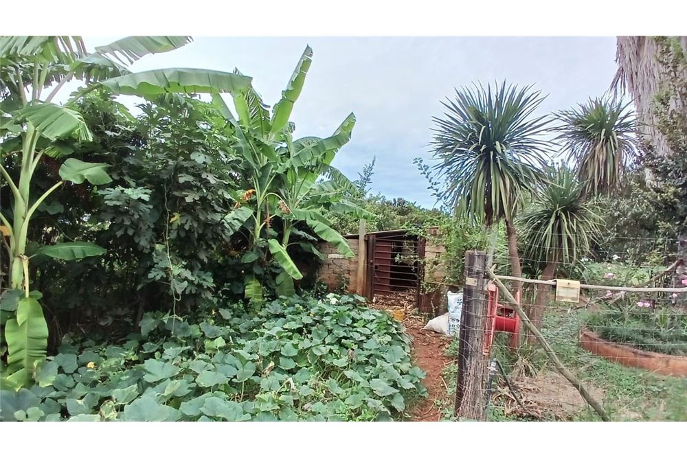 Residencial - Granja - Honingneskrans, Gauteng - South Africa - 12 - 1031414116-89