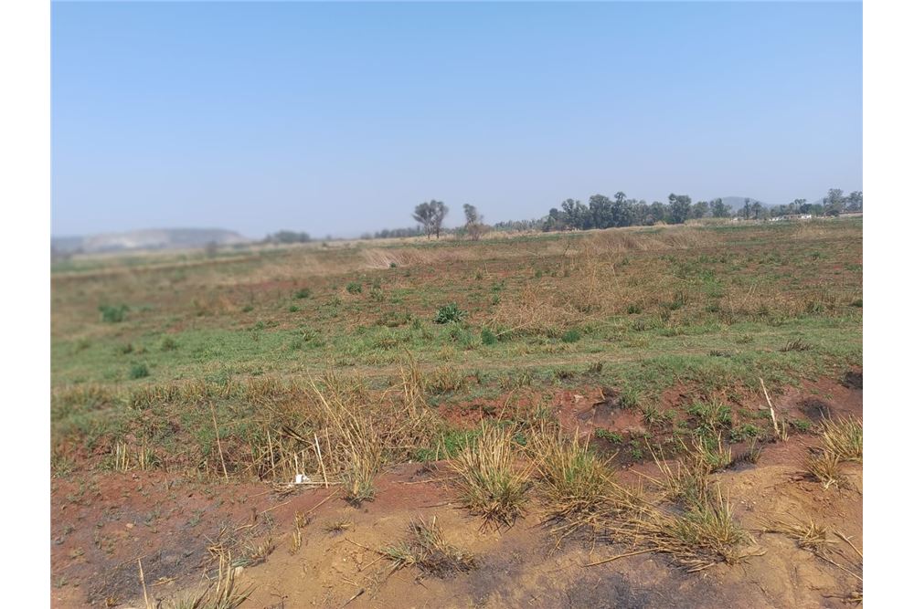 Residencial - Granja - Honingneskrans, Gauteng - South Africa - 4 - 1031414014-165