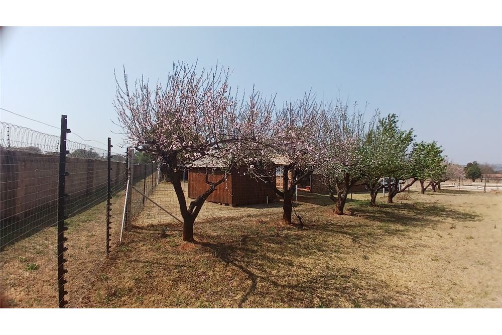 Residenziale - Fattoria - Gerardsville, Gauteng - South Africa - 14 - 1031414116-106