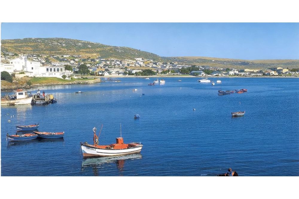 Residential - أرض خالية - Saldanha Central, Western Cape - South Africa - 8 - 1031429035-130