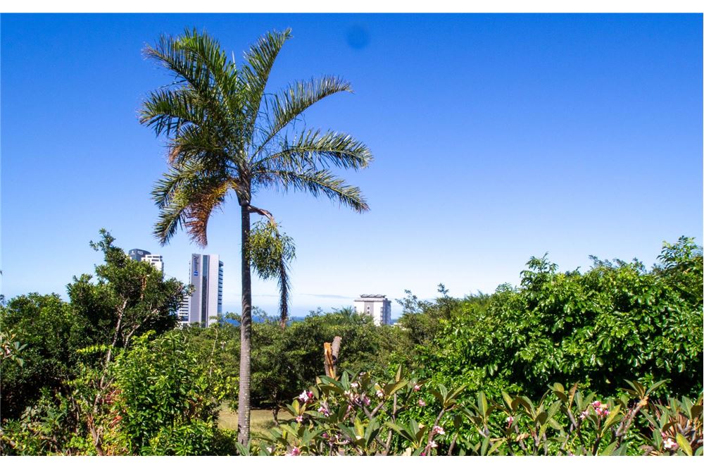 Residential - House - Umhlanga Rocks, KwaZulu Natal - South Africa - 54 - 1031465050-127