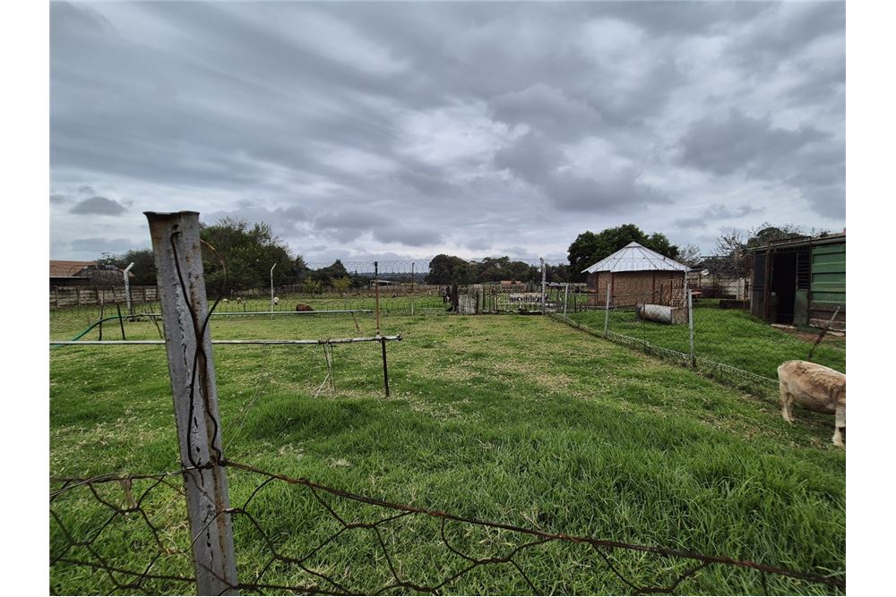 lakó - Farm - Wilbotsdal AH, Gauteng - South Africa - 15 - 1031444057-236