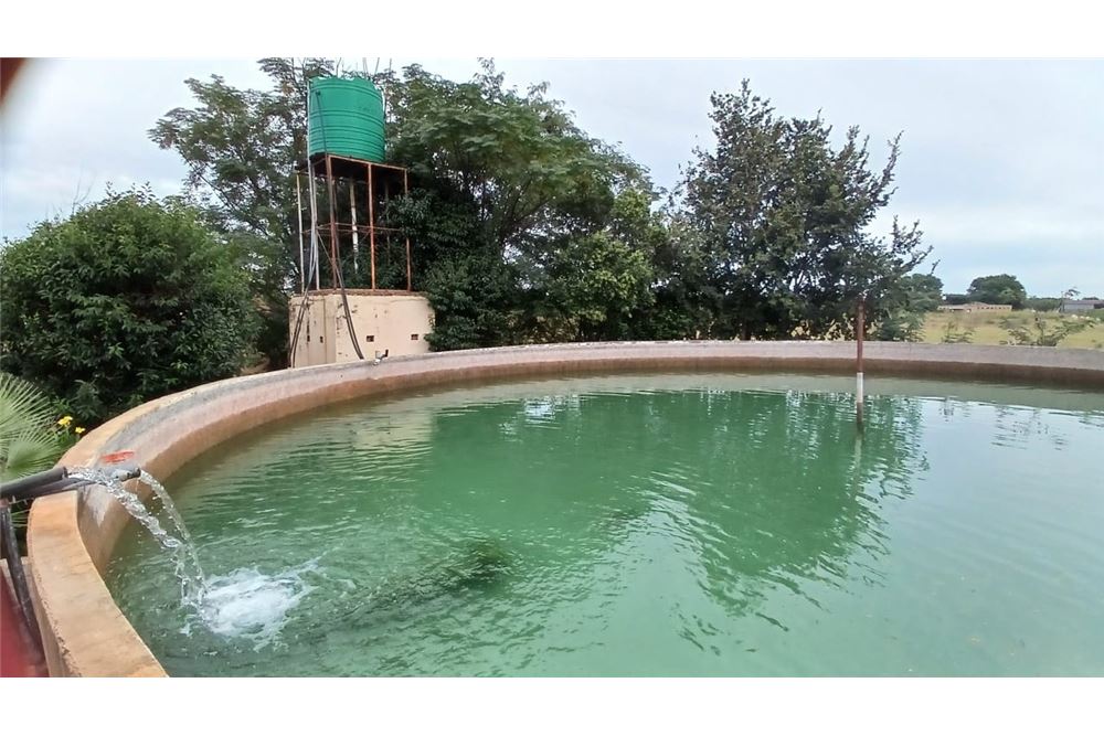 Residencial - Granja - Honingneskrans, Gauteng - South Africa - 8 - 1031414116-89