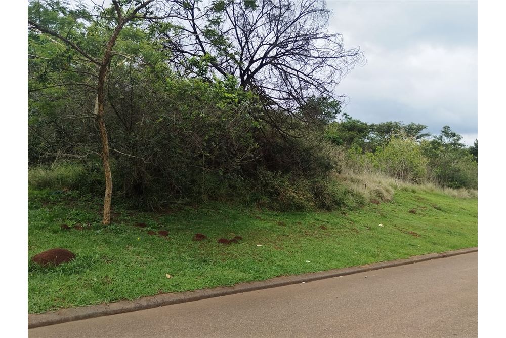 Жилищен - Свободна земя - Bishopstowe, KwaZulu Natal - South Africa - 3 - 1031436105-96