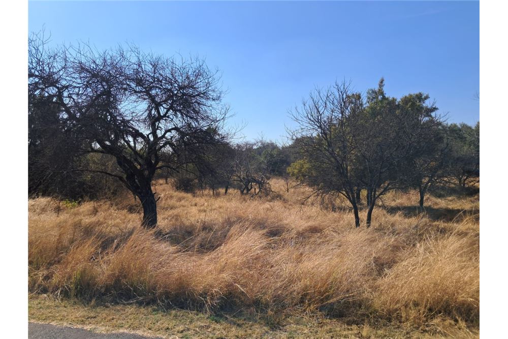 Residenziale - Lotto vacante - Leeuwfontein Estate, Gauteng - South Africa - 59 - 1031414102-104