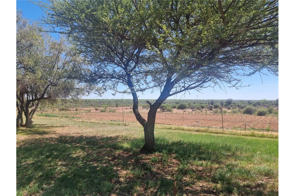 Residential - ਫ਼ਾਰਮ - Brits Rural, North West - South Africa - 32 - 1031416033-105