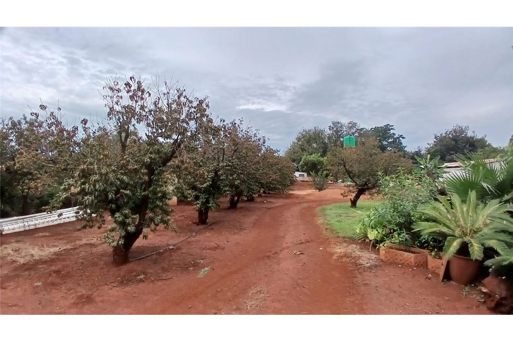 Residencial - Granja - Honingneskrans, Gauteng - South Africa - 20 - 1031414116-89