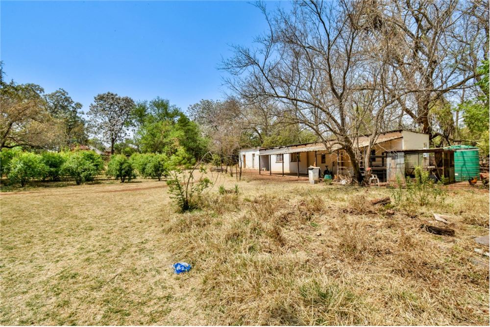 Residencial - Granja - Kameeldrift East, Gauteng - South Africa - 13 - 1031414001-140