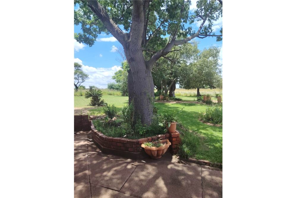 住宅 - 农场 - Lusthof, Gauteng - South Africa - 13 - 1031414014-166