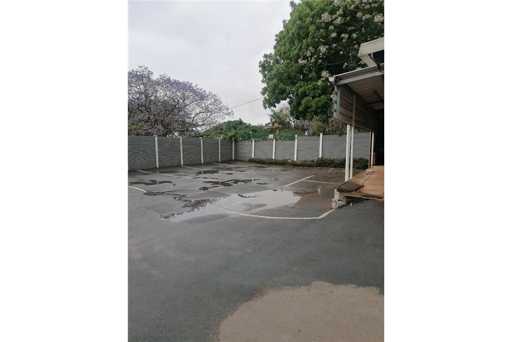 Commercieel - Gastenverblijf - Umbilo, KwaZulu Natal - South Africa - 24 - 1031389155-17