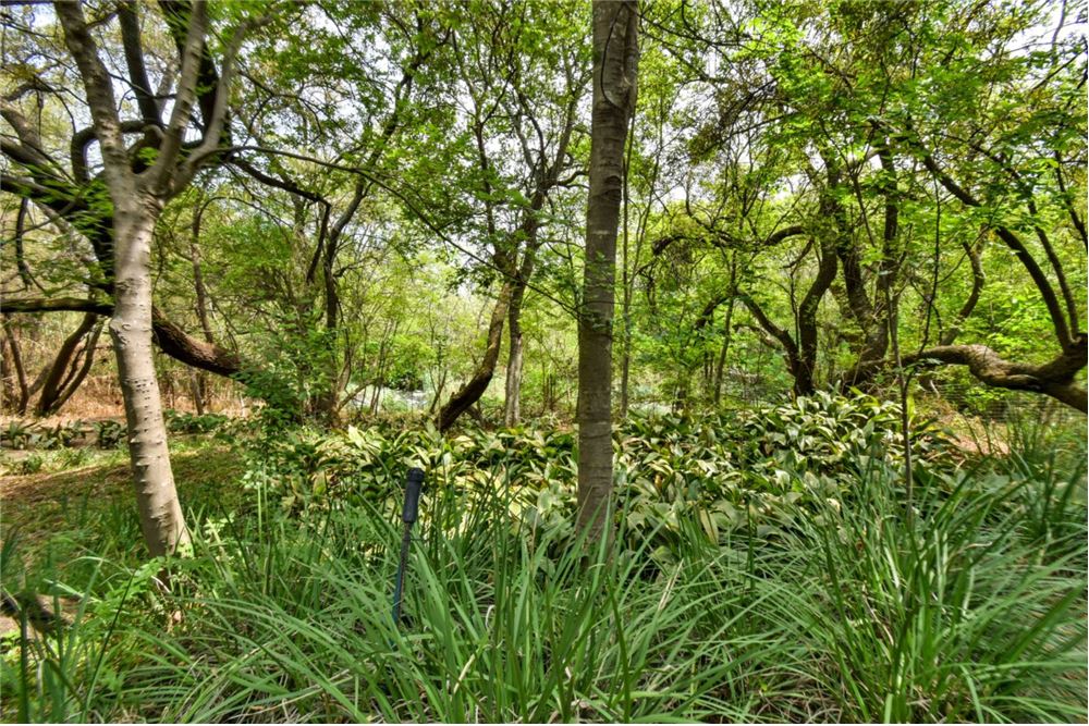 Comercial - Hostal - Kameeldrift East, Gauteng - South Africa - 36 - 1031414001-141