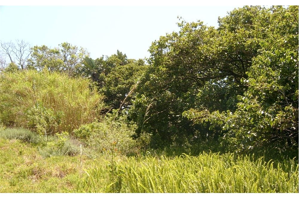 Dzīvojamais - Neapbūvēts zemesgabals - Port Edward, KwaZulu Natal - South Africa - 7 - 1031394016-369