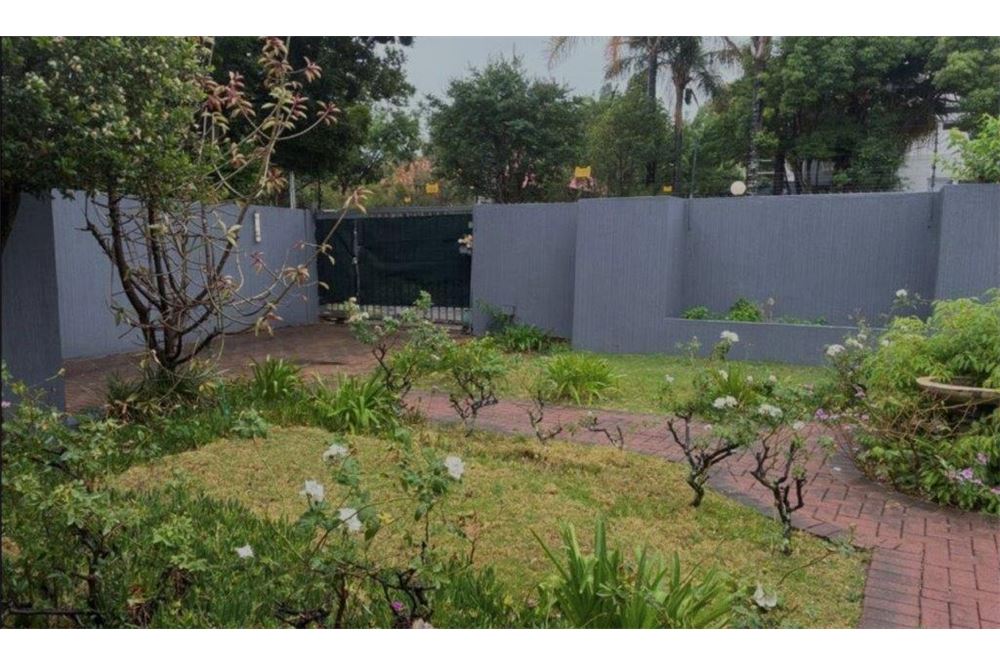 Residential - House - Eastwood, Gauteng - South Africa - 2 - 1031414015-776