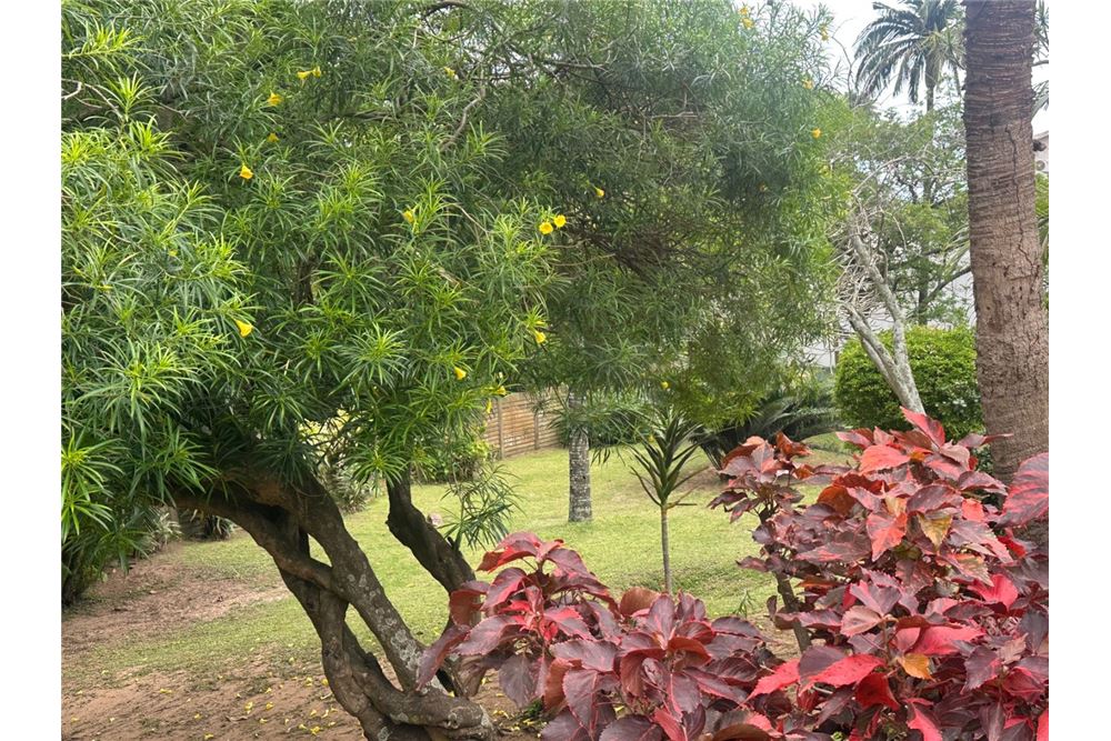 Residential - Townhouse - La Lucia, KwaZulu Natal - South Africa - 18 - 1031465013-91