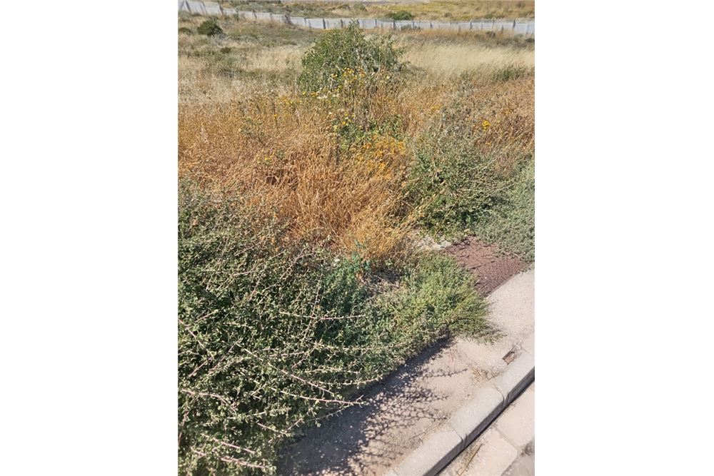 Mieszkaniowa - Teren niezabudowany - Hoogland, Western Cape - South Africa - 4 - 1031429035-166